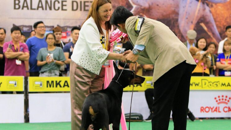 Madrid, capital mundial de los perros