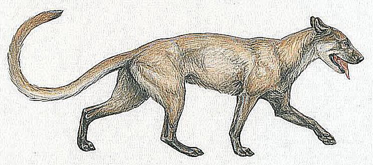 ¿Cómo eran los perros en la prehistoria?