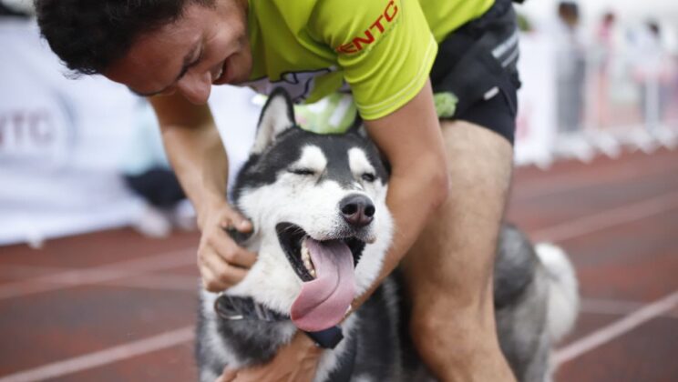 Un éxito la segunda edición de carrera canina P-Run: Luis Nava