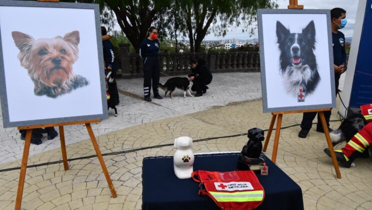 Exigen todo el peso de la ley al asesino de Athos y Tango