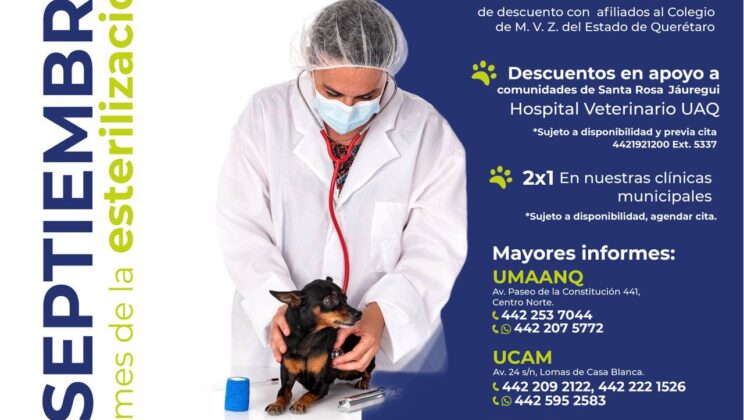 Municipio de Querétaro lanza la campaña “Septiembre, mes de la esterilización”