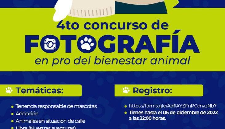 Todo listo para el cuarto concurso de fotografía animal en la ciudad de Querétaro