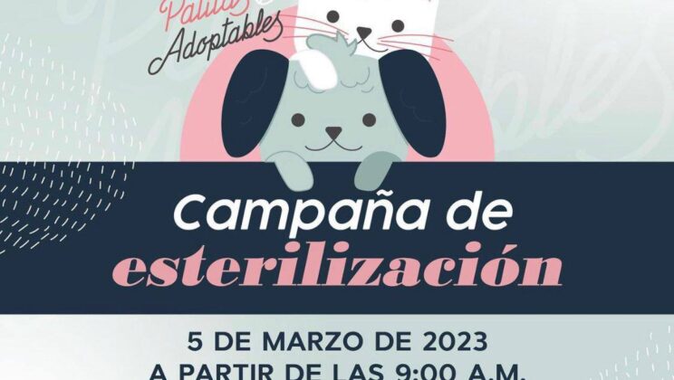 Lanza Patitas Adoptables, campaña de esterilización para perros y gatos
